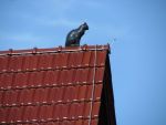 dachschmuck03